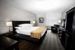 Skyline Hotel Traditional King Room